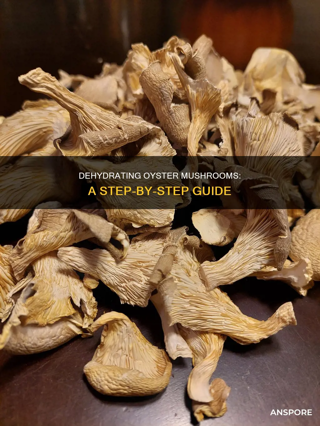 how to dehydrate oyster mushrooms