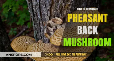Dehydrating Pheasant Back Mushrooms: A Step-by-Step Preservation Guide