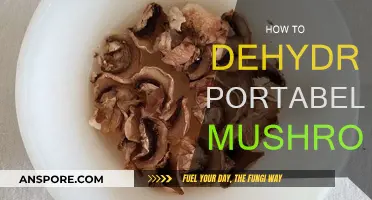 Dehydrating Portabella Mushrooms: A Step-by-Step Guide
