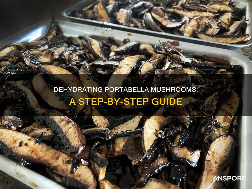 how to dehydrate portabella mushrooms