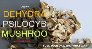 Dehydrating Psilocybe Mushrooms: A Step-by-Step Guide
