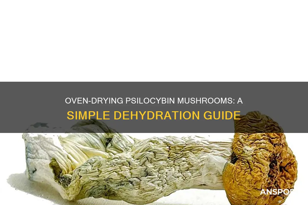 how to dehydrate psilocybin mushrooms in an oven
