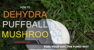 Dehydrating Puffball Mushrooms: A Step-by-Step Guide