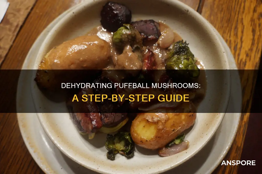 how to dehydrate puffball mushrooms