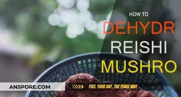 Dehydrating Reishi Mushrooms: A Step-by-Step Guide