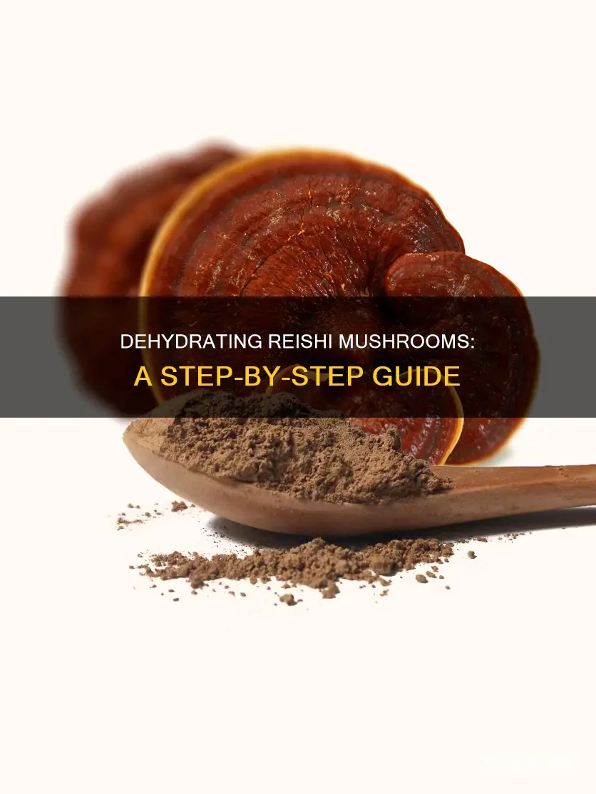 how to dehydrate reishi mushrooms