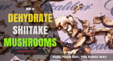 Dehydrating Shiitake Mushrooms: A Step-by-Step Guide