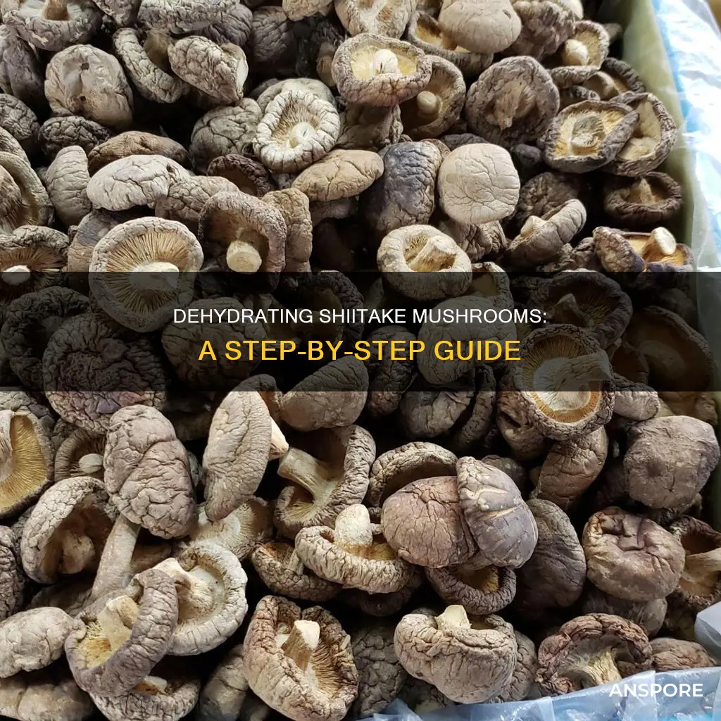 how to dehydrate shiitake mushrooms
