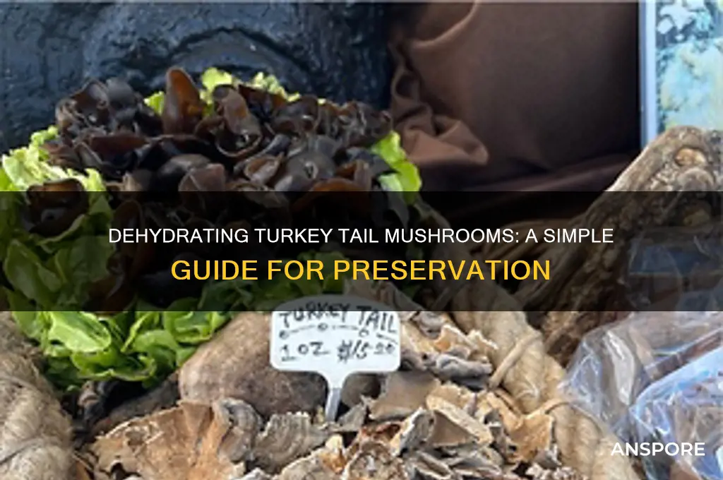 how to dehydrate turkey tail mushrooms