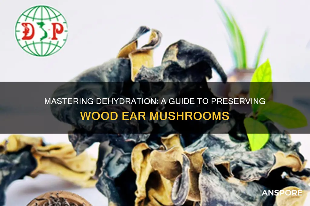 how to dehydrate wood ear mushrooms