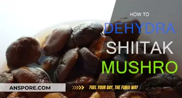 Dehydrating Shiitake Mushrooms: A Step-by-Step Guide