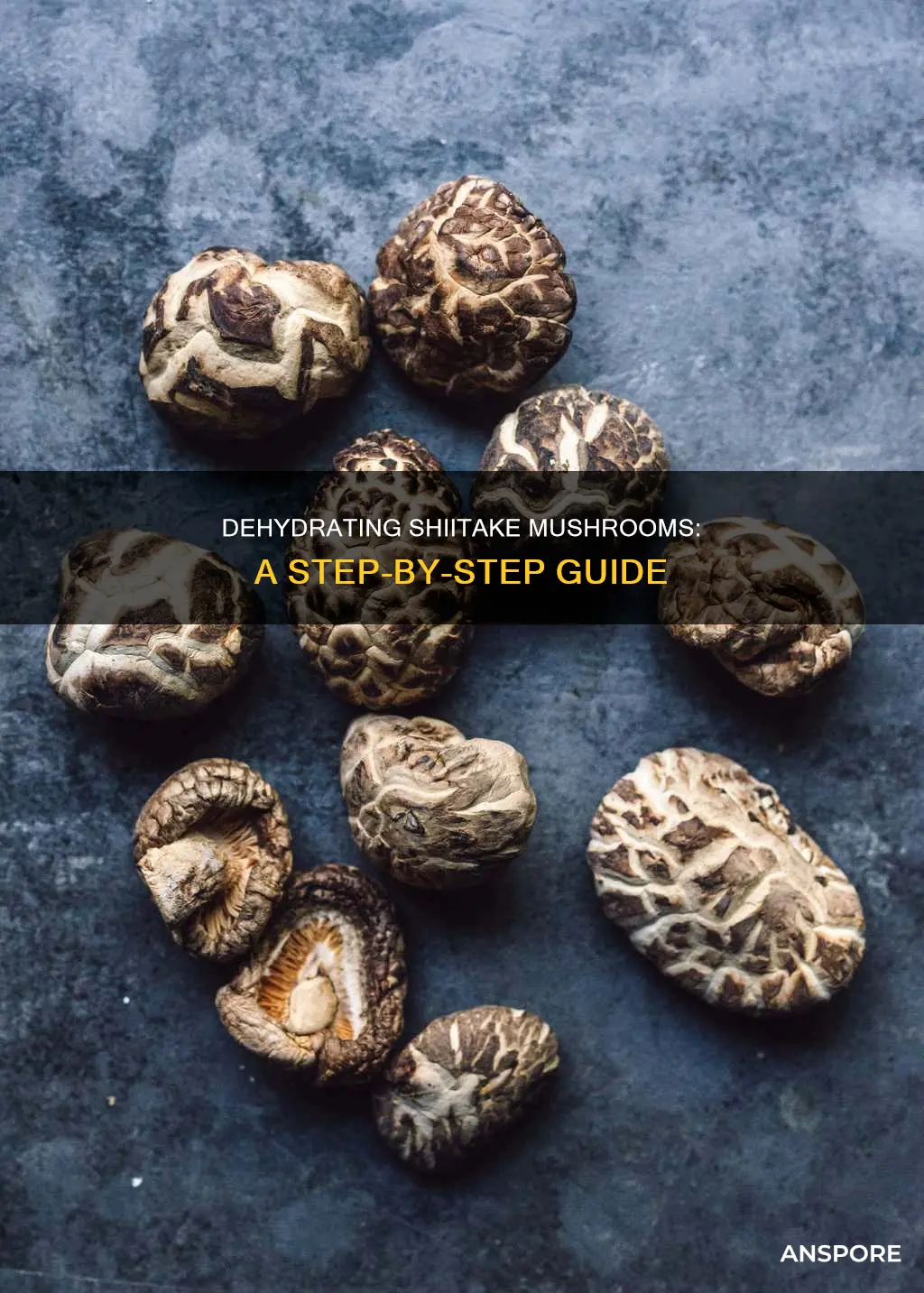 how to dehydrated shiitake mushrooms