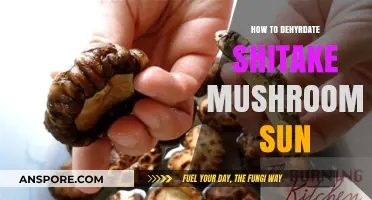 Sun-Drying Shiitake Mushrooms: A Simple Dehydration Guide