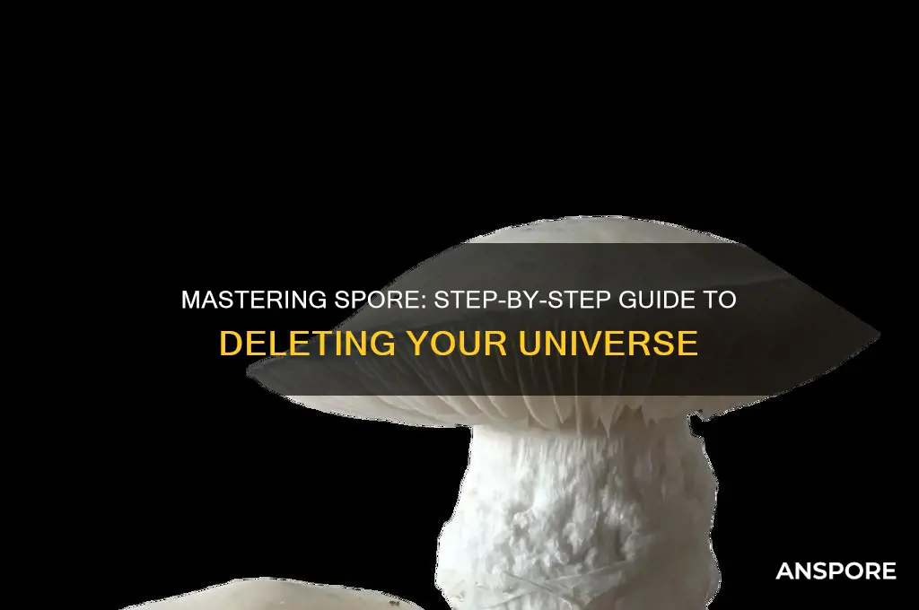 how to delete a universe in spore