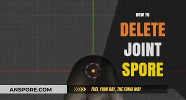 Effective Methods to Safely Delete Joint Spore from Your Environment