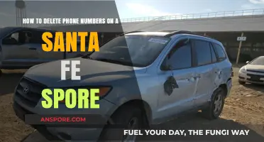 How to Delete Phone Numbers on a Santa Fe Spore