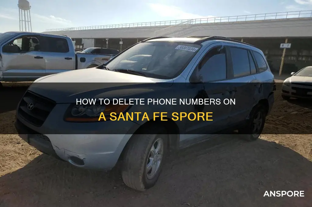 how to delete phone numbers on a santa fe spore