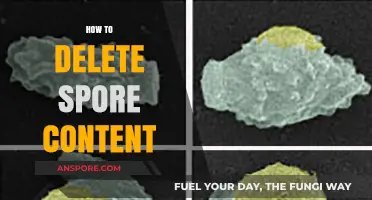 Efficiently Remove Spore Content: A Step-by-Step Deletion Guide