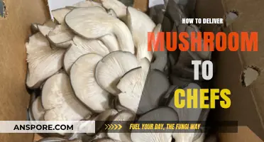 Efficient Mushroom Delivery: Tips for Supplying Chefs with Fresh Fungi