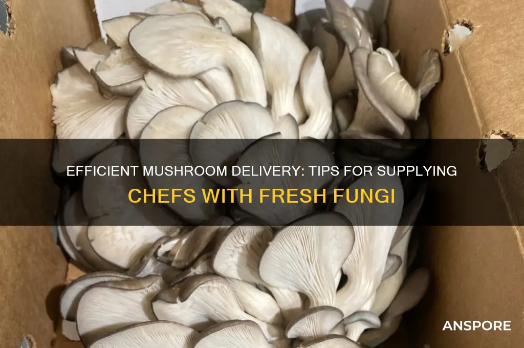 how to deliver mushrooms to chefs