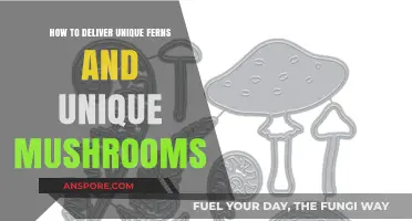 Unique Ferns & Mushrooms: Creative Delivery Tips for Rare Finds