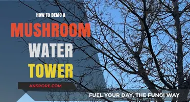 Innovative Mushroom Water Tower Demo: A Step-by-Step Guide