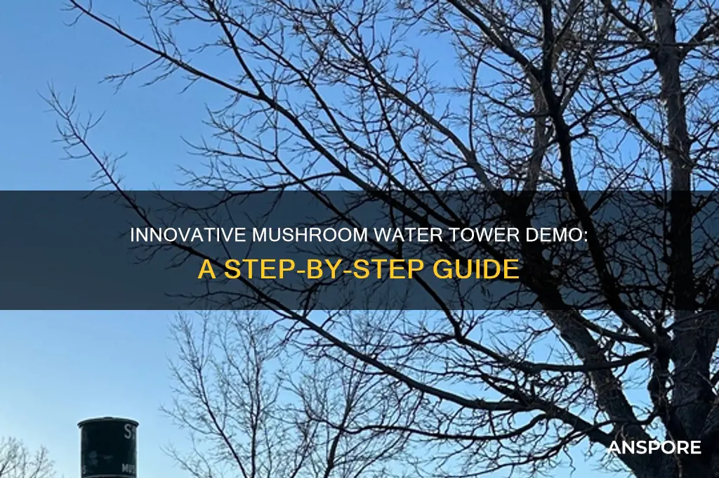 how to demo a mushroom water tower