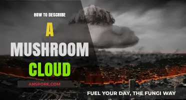 Understanding the Visual Impact: Describing a Mushroom Cloud Effectively