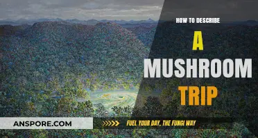 Exploring the Psychedelic Journey: Describing a Mushroom Trip Experience