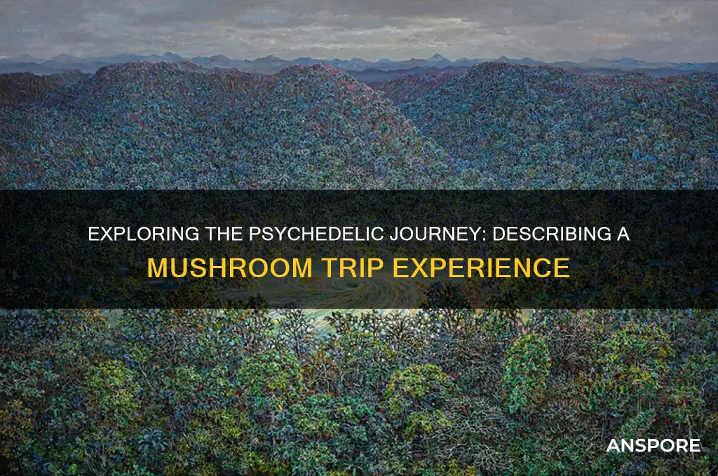 how to describe a mushroom trip