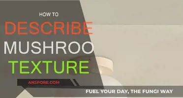 The Ultimate Guide to Describing Mushroom Texture