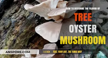 Exploring the Unique, Earthy, and Umami Flavors of Tree Oyster Mushrooms