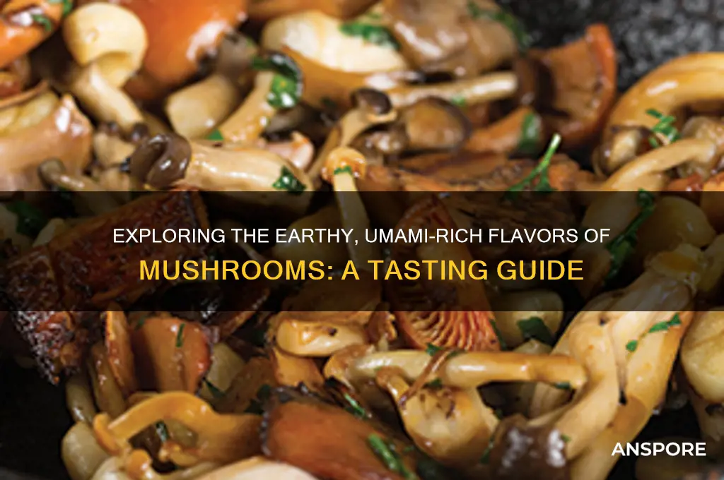 how to describe the taste of mushroom