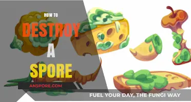 Effective Methods to Eliminate Spores: A Comprehensive Destruction Guide