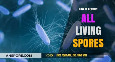 Effective Methods to Eradicate All Living Spores Permanently and Safely