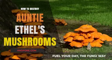 Effective Ways to Eliminate Auntie Ethel's Mushroom Infestation Permanently