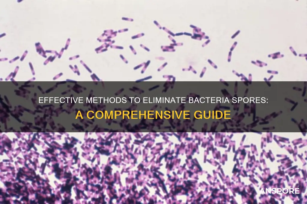 how to destroy bacteria spores