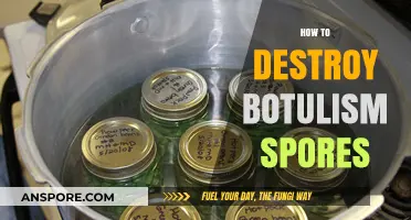 Effective Methods to Eliminate Botulism Spores Safely and Permanently