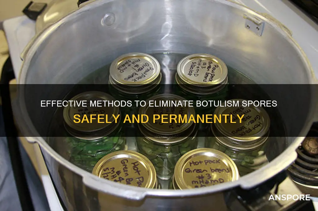how to destroy botulism spores