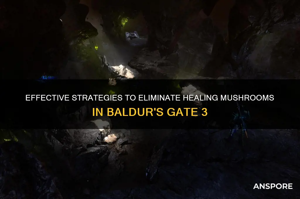 how to destroy healing mushrooms bg3