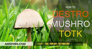 Destroying Mushroom Spores: A Comprehensive Guide