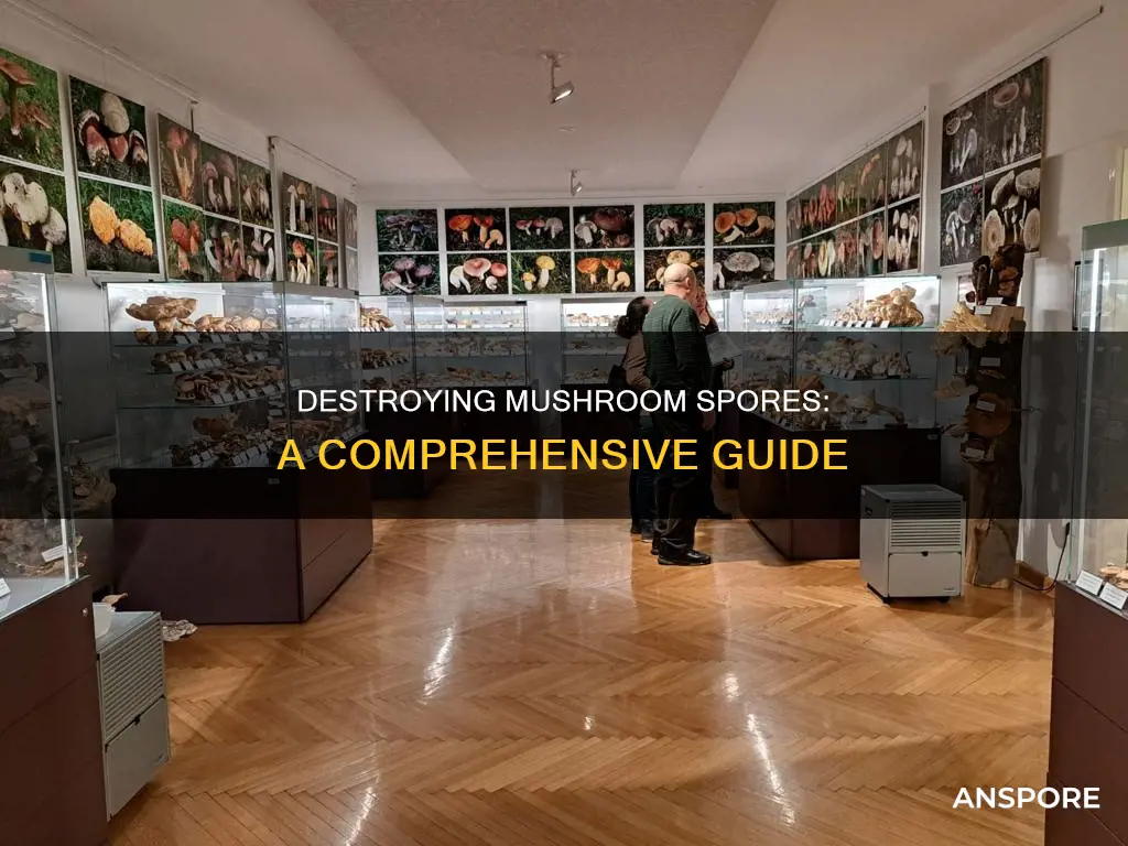 how to destroy mushroom totk