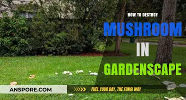 Effective Ways to Eliminate Mushrooms in Your Gardenscapes Garden