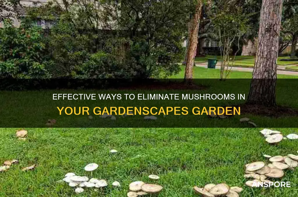how to destroy mushrooms in gardenscapes