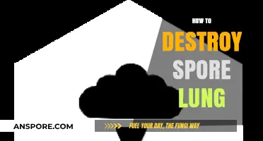 Effective Strategies to Eradicate Spore Lung Infections Permanently
