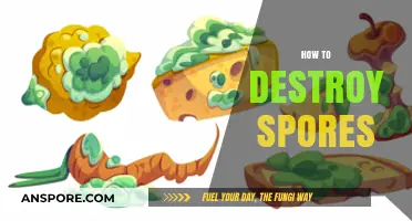 Effective Methods to Eliminate Spores: A Comprehensive Sterilization Guide