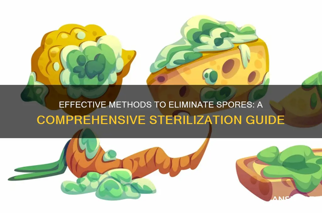 how to destroy spores