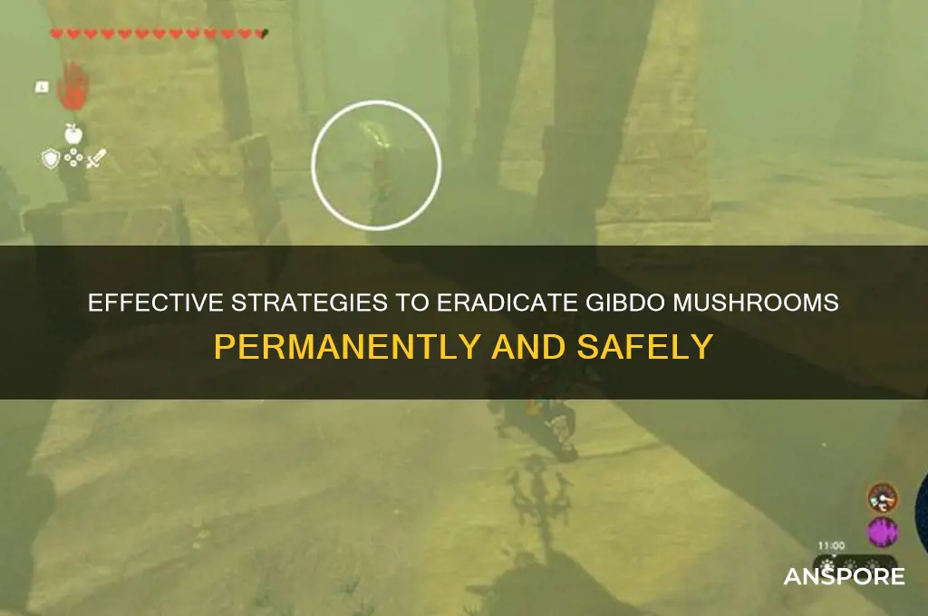 how to destroy the gibdo mushroom