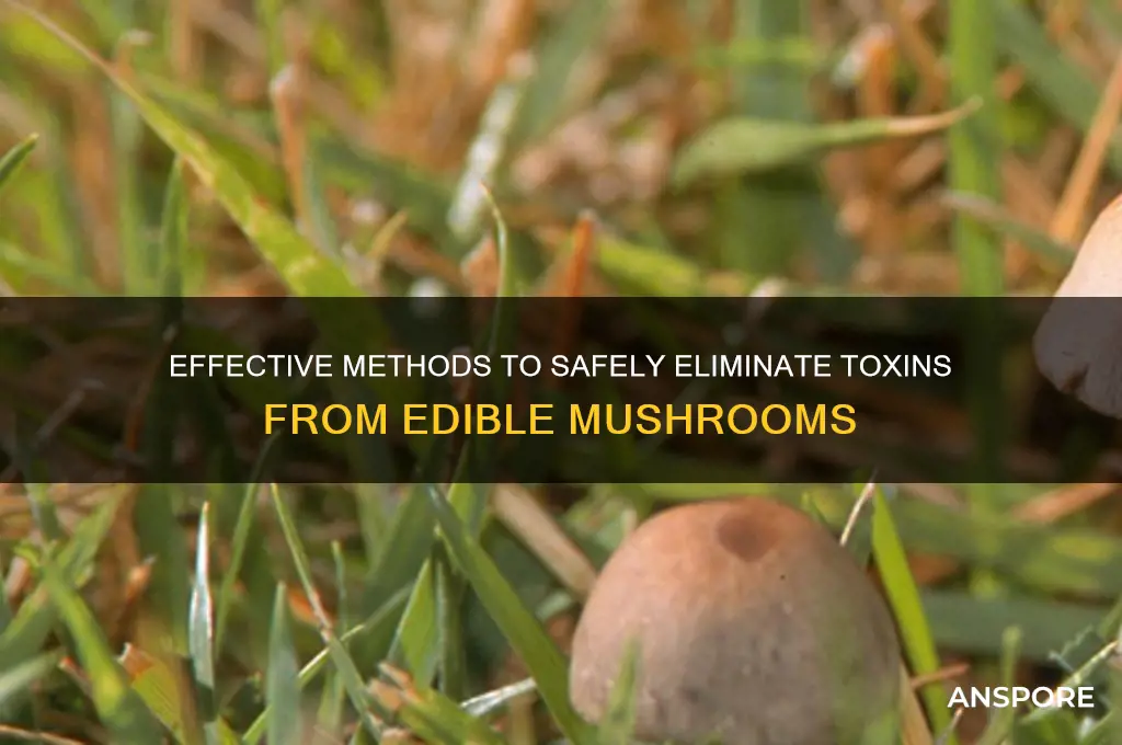 how to destroy toxins in mushrooms