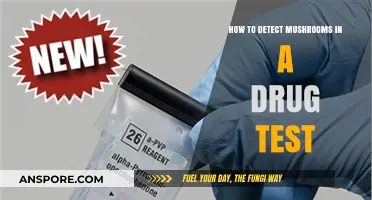 Detecting Mushrooms in Drug Tests: Methods and Accuracy Explained